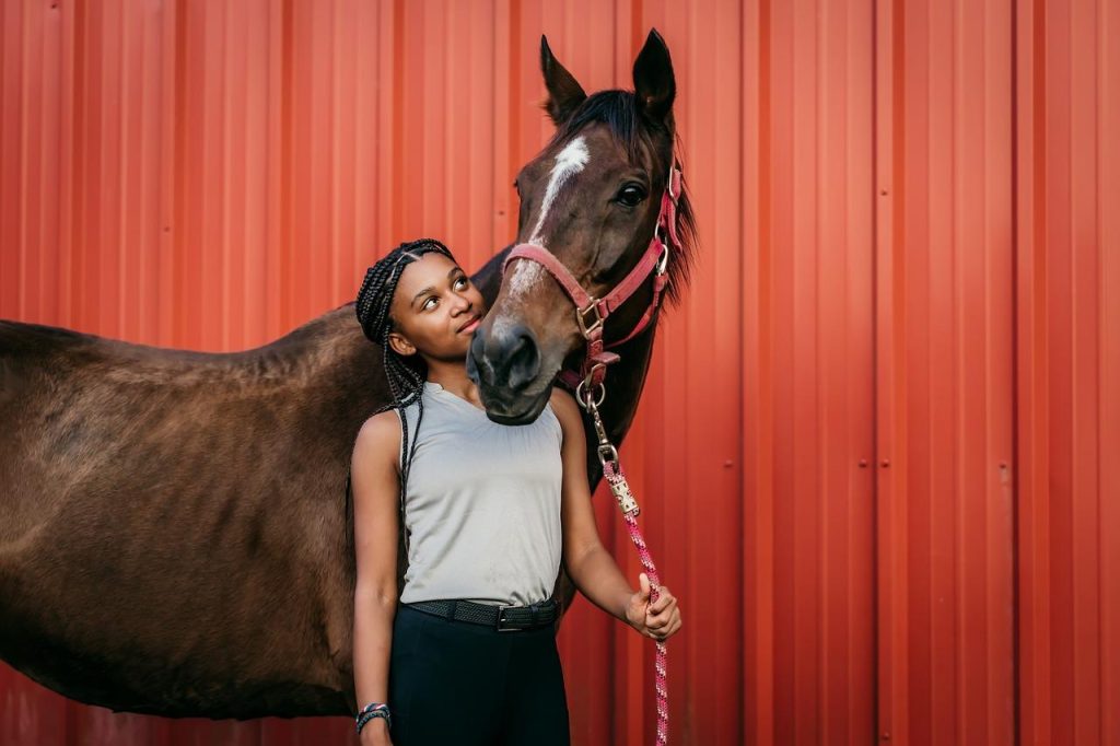 Ruiter op paard tijdens paardrijden in Zwolle met professionele instructie en veiligheidsuitrusting