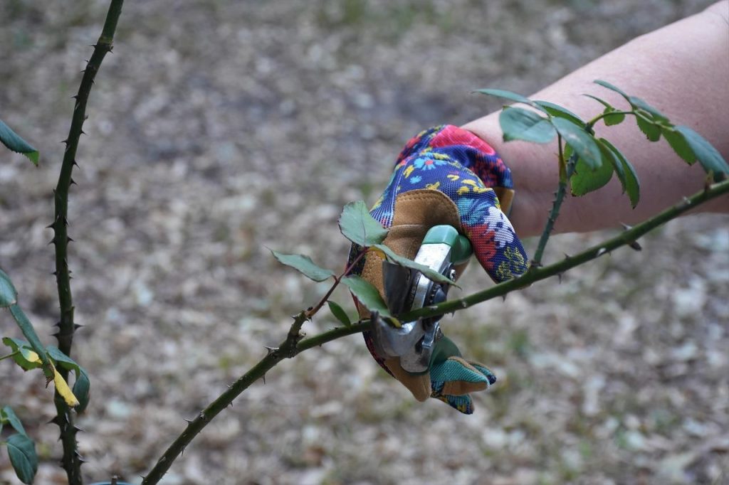 Praktische gids voor onderhoud, styling en groen: stappenplan met checklist voor huis en tuin inrichting
