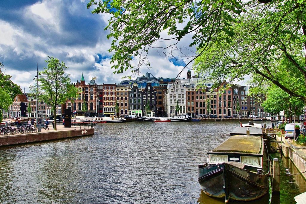 Ongedierte in Amsterdam voorkomen met professionele bestrijdingsservice voor muizen, ratten en wespen in de stad